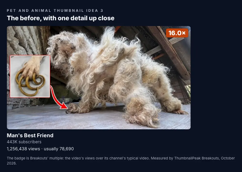 Man's Best Friend: a dog so badly matted it barely looks like a dog, with a small inset in the corner of its overgrown nails curled into rings and a red arrow from the inset to its paw; 443K subscribers, 1,256,438 views against a usual 78,690, a 16.0× badge.